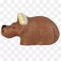 ½������-Ϭţ�׳�-������