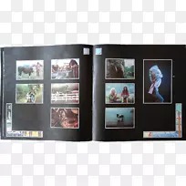 海报-空若网 海报-空若网