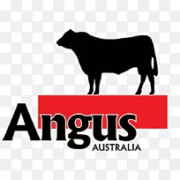 安格斯牛红安格斯布兰格斯秃头布莱尔安格斯三重安格斯公牛-空若网 安格斯牛红安格斯布兰格斯秃头布莱尔安格斯三重安格斯公牛-空若网
