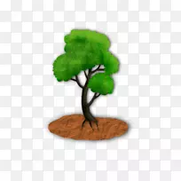 树花盆植物-树-空若网 树花盆植物-树-空若网