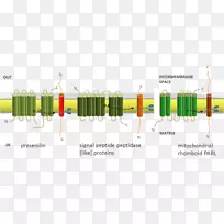 线路设计-空若网 线路设计-空若网