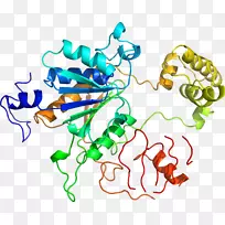 生物人类行为线点剪贴画线-空若网 生物人类行为线点剪贴画线-空若网