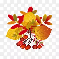 ¼ôÖ½ÒÕÊõ-ÇïÒ¶-¿ÕÈôÍø ¼ôÖ½ÒÕÊõ-ÇïÒ¶-¿ÕÈôÍø