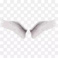 白色剪贴画-白色翅膀-空若网 白色剪贴画-白色翅膀-空若网