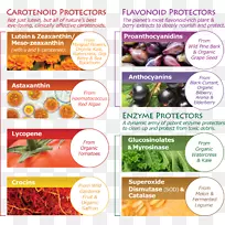 ����ʳ�ﻤ�۽�������Ĥ-�۾�-������