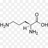 谷氨酰胺、谷氨酸、氨基酸、亮氨酸、色氨酸-空若网 谷氨酰胺、谷氨酸、氨基酸、亮氨酸、色氨酸-空若网