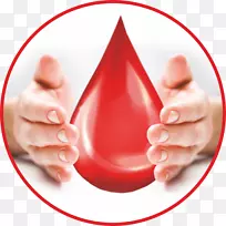 树魔法8-球安全警报器和系统防盗系统遥控器.树-空若网 树魔法8-球安全警报器和系统防盗系统遥控器.树-空若网