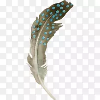 羽毛鸟夹艺术.羽毛材料-空若网 羽毛鸟夹艺术.羽毛材料-空若网