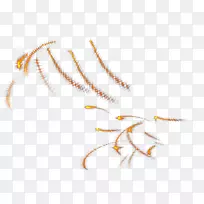 火球-空若网 火球-空若网