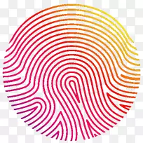 ָ������-������