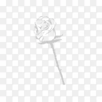 ��ɫ�������-������