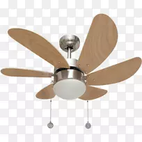 ���ȵư�������˿��-������