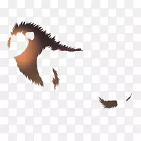 鹰嘴鹰-空若网 鹰嘴鹰-空若网