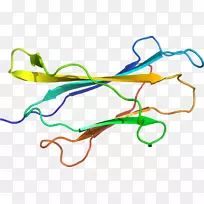 线点生物剪贴画线-空若网 线点生物剪贴画线-空若网