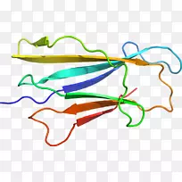 直线点植物茎夹艺术线-空若网 直线点植物茎夹艺术线-空若网