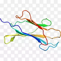线点生物剪贴画线-空若网 线点生物剪贴画线-空若网