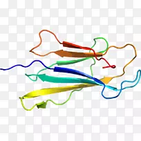 线点剪贴画-线-空若网 线点剪贴画-线-空若网