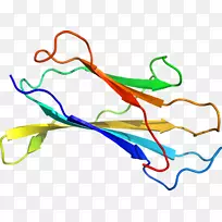 线点生物剪贴画线-空若网 线点生物剪贴画线-空若网