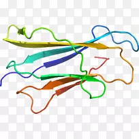 �ߵ������������-������