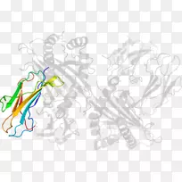 绘画平面设计线艺术剪贴画设计-空若网 绘画平面设计线艺术剪贴画设计-空若网