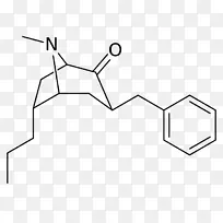 酸性焦磷酸二钠苄基保护基团类似物-空若网 酸性焦磷酸二钠苄基保护基团类似物-空若网