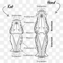 手指智人素描-氟化物-空若网 手指智人素描-氟化物-空若网