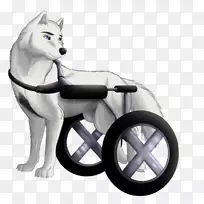 狗技术车轮-查尔斯·泽维尔-空若网 狗技术车轮-查尔斯·泽维尔-空若网