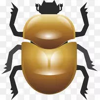 ����������-�����׳�-������