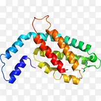 ʳƷ���μ�����.�鱦-������