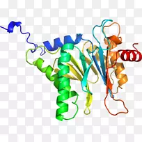 线点生物剪贴画线-空若网 线点生物剪贴画线-空若网