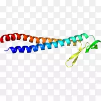 塑料车身首饰线剪贴画线-空若网 塑料车身首饰线剪贴画线-空若网