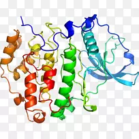 ������Ϊ�л����ߵ��������-������