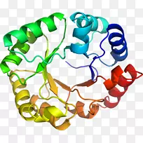 �����鱦�л��������.�鱦-������