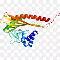 线点生物剪贴画线-空若网 线点生物剪贴画线-空若网