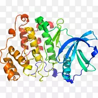 人体首饰有机体线剪贴画线-空若网 人体首饰有机体线剪贴画线-空若网