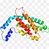 食品首饰系列剪贴画系列-空若网 食品首饰系列剪贴画系列-空若网