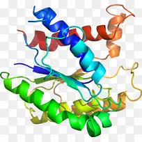 人体首饰有机体线剪贴画线-空若网 人体首饰有机体线剪贴画线-空若网