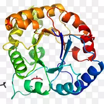 人体首饰有机体线剪贴画线-空若网 人体首饰有机体线剪贴画线-空若网