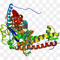 平面设计艺术人体珠宝剪贴画设计-空若网 平面设计艺术人体珠宝剪贴画设计-空若网