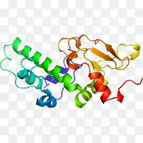 线点生物剪贴画线-空若网 线点生物剪贴画线-空若网