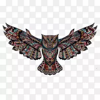 �Ȳ�èͷӥ���������ɫ����èͷӥ���-������