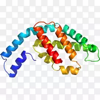 食物剪贴画-空若网 食物剪贴画-空若网