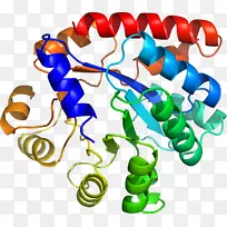 ���������л����߼�������-������