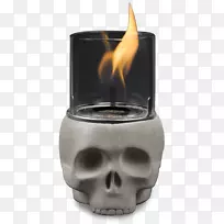 头骨桌-玻璃头骨-空若网 头骨桌-玻璃头骨-空若网