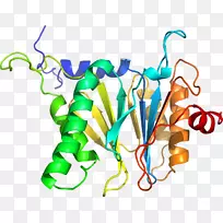 ֲ�ﾥ���鱦�߼�������-������