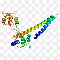 人体首饰有机体线剪贴画线-空若网 人体首饰有机体线剪贴画线-空若网