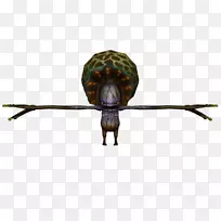 昆虫传粉器蝴蝶桌面壁纸蜗牛-昆虫-空若网 昆虫传粉器蝴蝶桌面壁纸蜗牛-昆虫-空若网