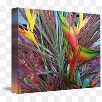 现代艺术花现代建筑草花-空若网 现代艺术花现代建筑草花-空若网