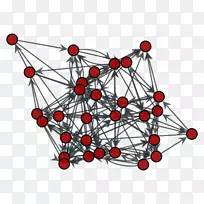 ֱ�ߵ���-������