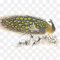 画水墨画花鸟画水彩画孔雀-空若网 画水墨画花鸟画水彩画孔雀-空若网